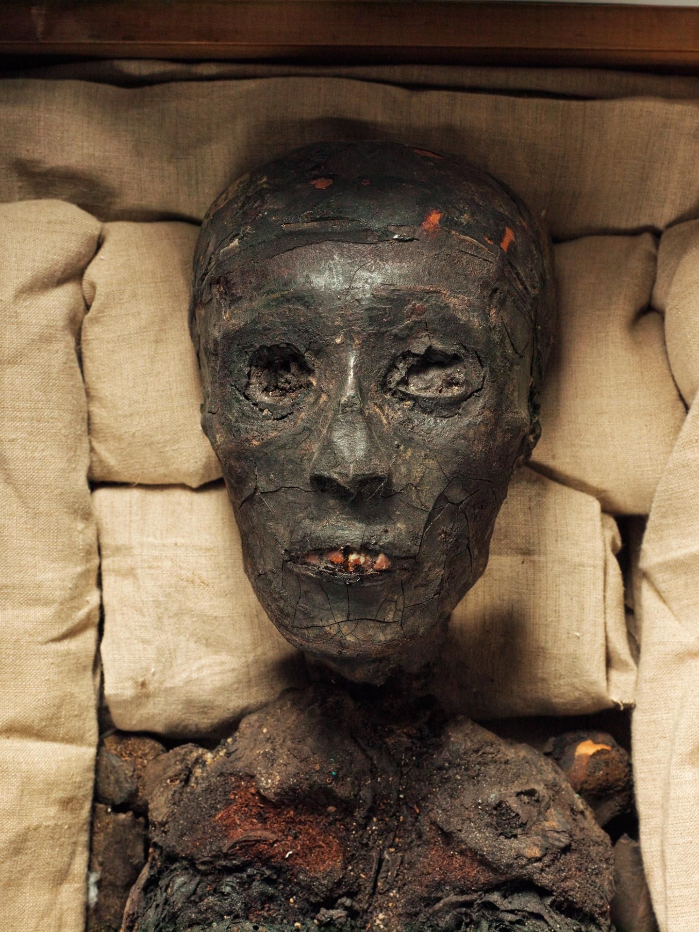 TUTANKHAMON DE CUERPO PRESENTE