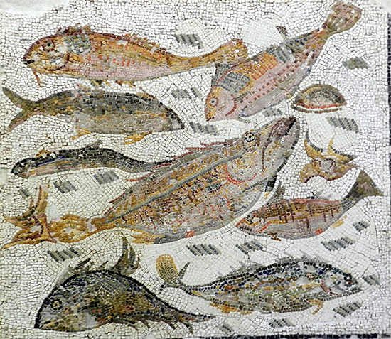 PESCADO EN LA DIETA DE LOS LEGIONARIOS